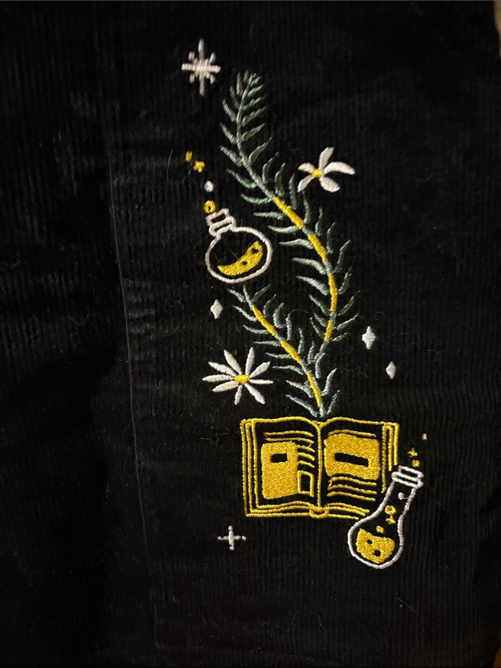 Disney Box Lunch Black Embroidered Corduroy Overalls skirt One-Piece Hocus Pocus - Picture 5 of 8